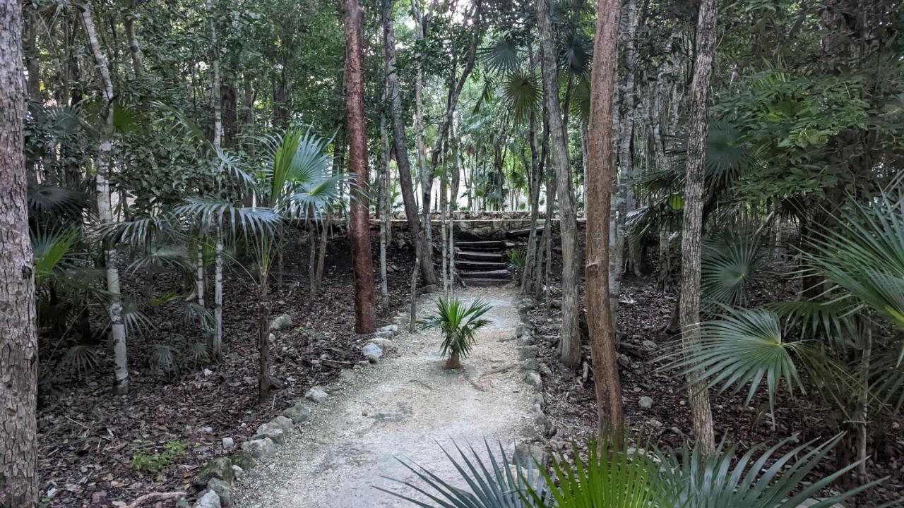 Exclusive Penthouse By Famous Interior Designer By Yeah Apartman Tulum Kültér fotó